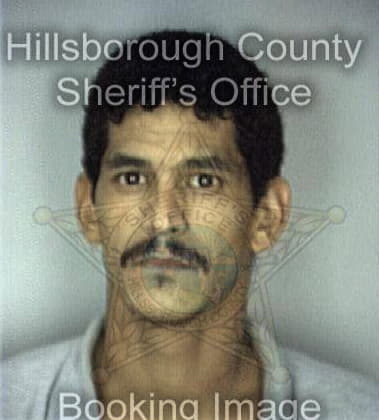 Laron Christian - Hillsborough County, FL 