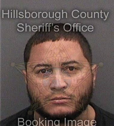 Mark Dillon, - Hillsborough County, FL 