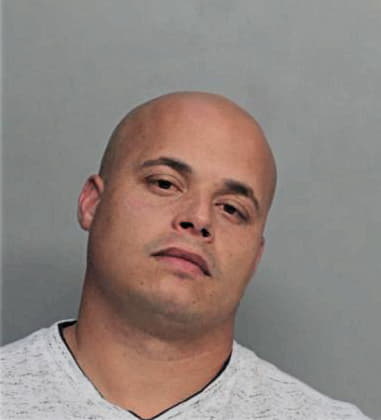 Nelson Fonsecadiaz, - Dade County, FL 