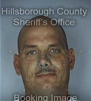 Anthony Friel, - Hillsborough County, FL 