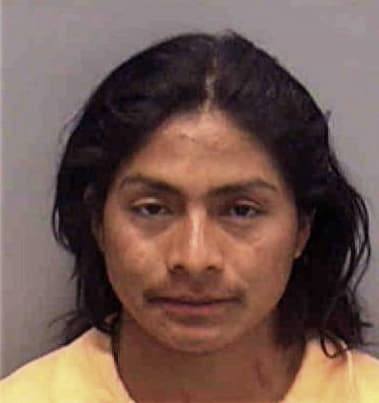 Roberto Hernandez, - Lee County, FL 