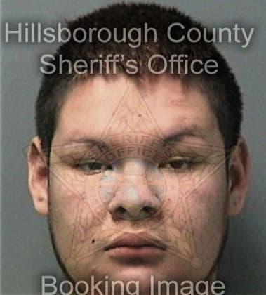 Giancarlo Llamas, - Hillsborough County, FL 