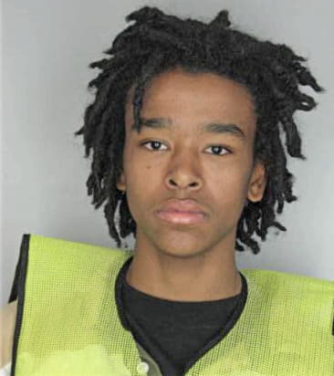 Leshawn Mingo - Hillsborough County, FL 