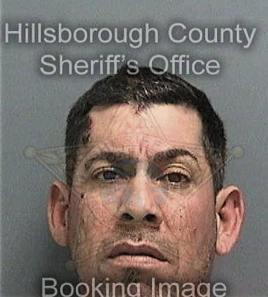 Sergio Reyesperez, - Hillsborough County, FL 