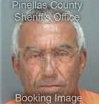 Jonathan Riverapulliza, - Pinellas County, FL 