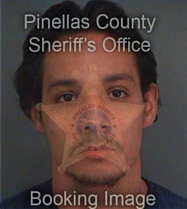 Jiovani Sanchez, - Pinellas County, FL 