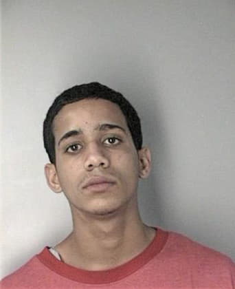 Francisco Valdesgonzalez, - Hillsborough County, FL 