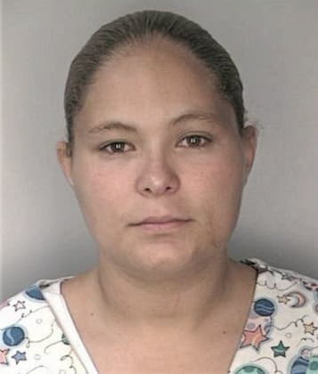 Nelly Vasquezsalazar, - Hillsborough County, FL 