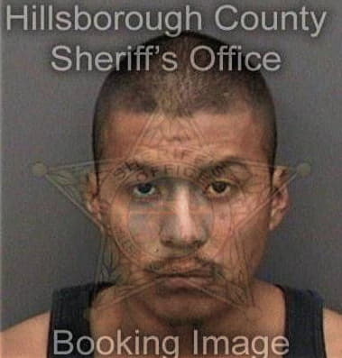 Matthew Wilson, - Hillsborough County, FL 