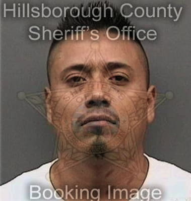 Evert Alvarez, - Hillsborough County, FL 