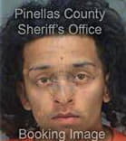 Israel Delgado, - Pinellas County, FL 