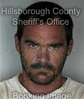 Pedro Castroalvarado, - Hillsborough County, FL 