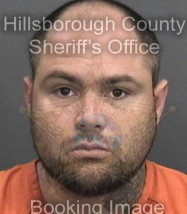 Vincent Lundy, - Hillsborough County, FL 