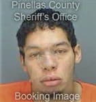 Jose Sanchezgarcia, - Pinellas County, FL 