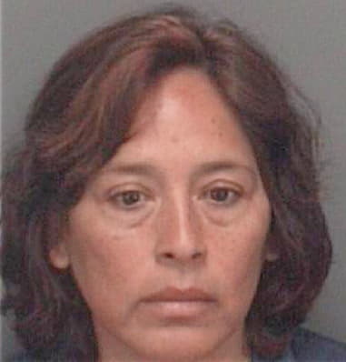 Michelle Smart - Pinellas County, FL 