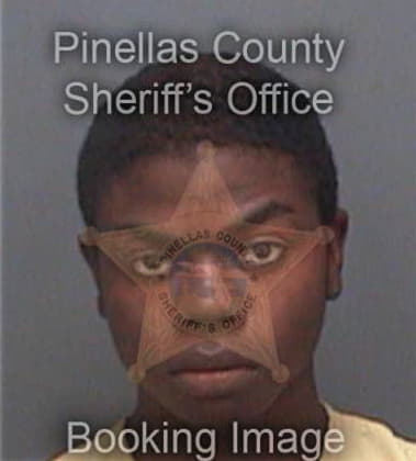 Sylvan Spintnatus - Pinellas County, FL 