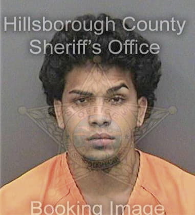 David Tyler, - Hillsborough County, FL 