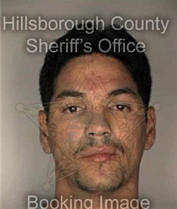 Feliz Vasquez, - Hillsborough County, FL 