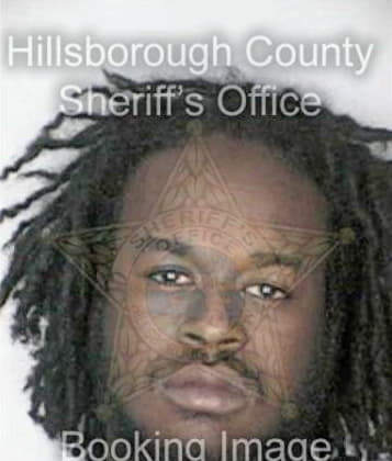 Gregory Young, - Hillsborough County, FL 