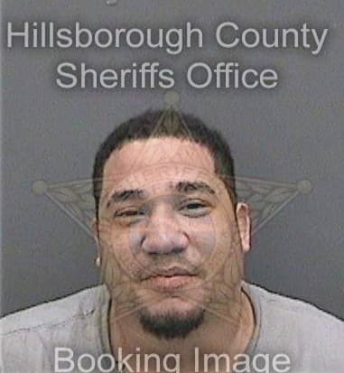 Martin Annunziato, - Hillsborough County, FL 