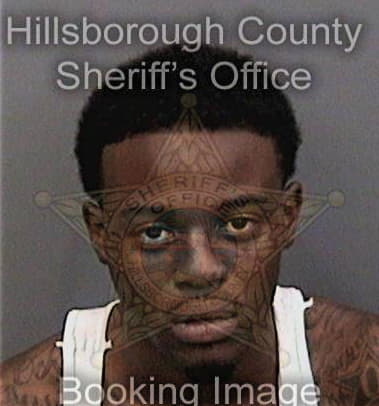 Joseph Fields, - Hillsborough County, FL 