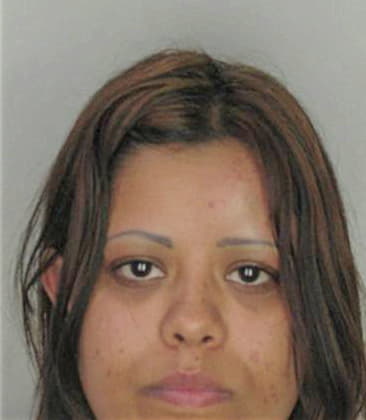 Heather McGall - Hillsborough County, FL 