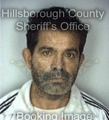 Paulino Quiroz, - Hillsborough County, FL 