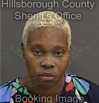 Shaniqua Simmons, - Hillsborough County, FL 