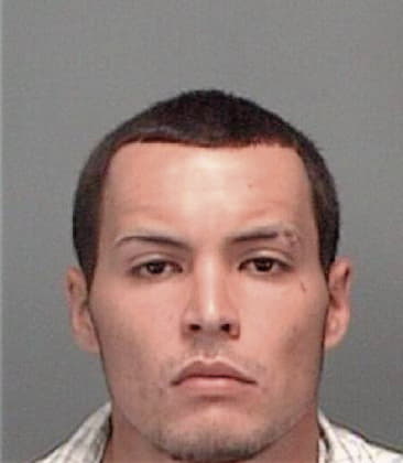 Pedro Arboleda, - Pinellas County, FL 