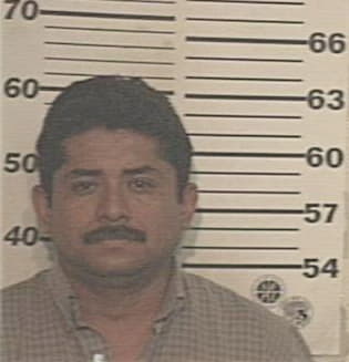 Jesus Calderon, - Hidalgo County, TX 