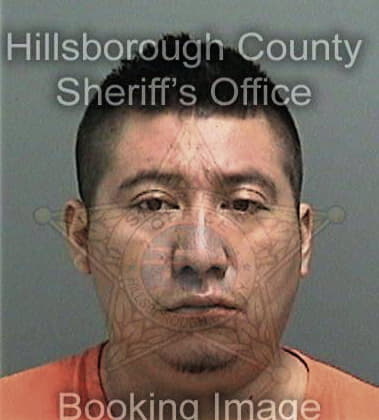 Ervin Ixcoyixchop, - Hillsborough County, FL 