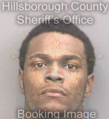 Troy Johnson, - Hillsborough County, FL 