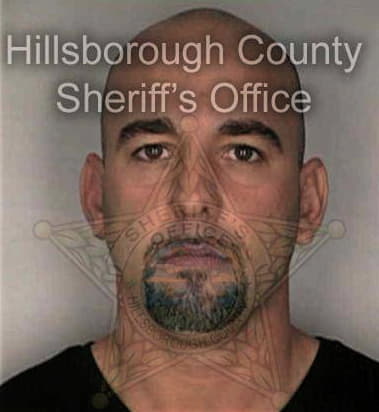 Lubomir Masik, - Hillsborough County, FL 