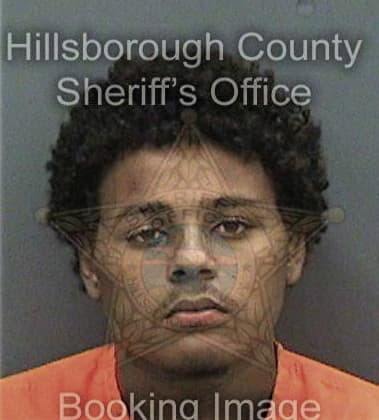 Cimino McLowery - Hillsborough County, FL 