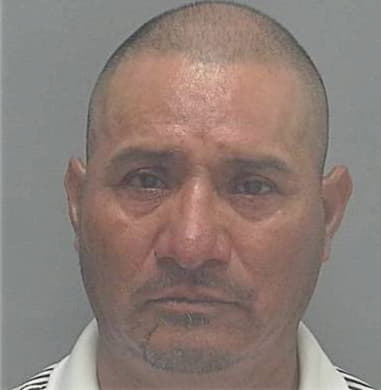 Patricio Mendoza-Irineo, - Lee County, FL 