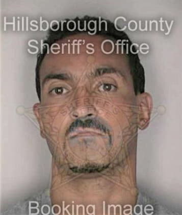 Ramiro Pesina, - Hillsborough County, FL 