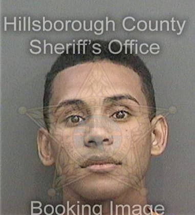 Daniel Aikens, - Hillsborough County, FL 