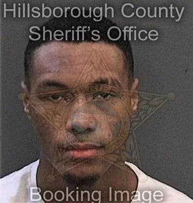 Terrance Holmes, - Hillsborough County, FL 