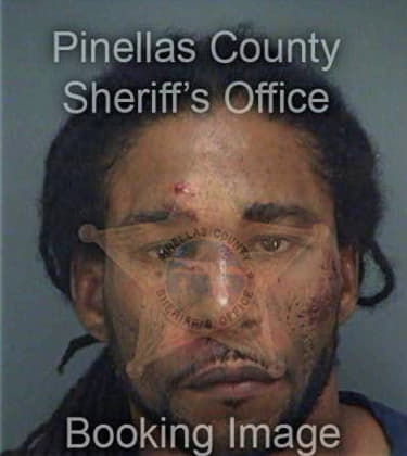 Michael Johnson, - Pinellas County, FL 