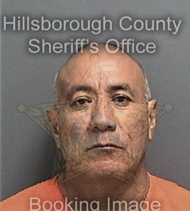 Alexander Malavenieves, - Hillsborough County, FL 