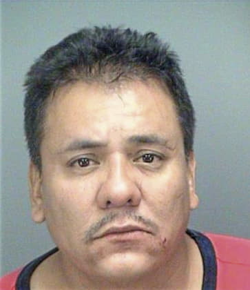 Eduardo Ovandoalvarez, - Pinellas County, FL 