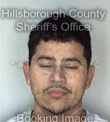 William Birchfield - Hillsborough County, FL 