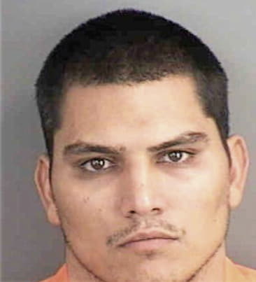 Delfino Bravo, - Collier County, FL 