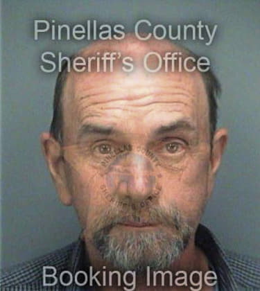 David Castle, - Pinellas County, FL 