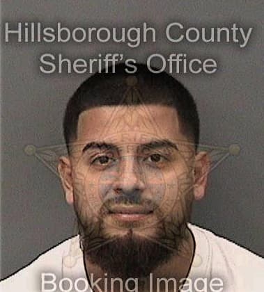 Ariel Garcia-Martin, - Hillsborough County, FL 