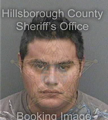 Nicholas Hatch, - Hillsborough County, FL 