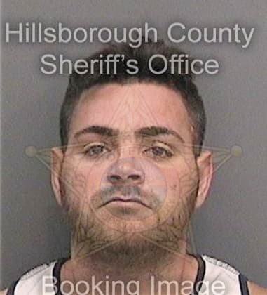 Brian Johnson, - Hillsborough County, FL 