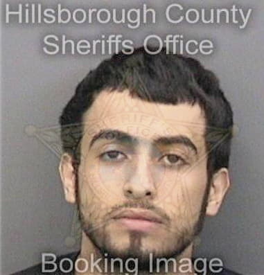 Michael Lawson, - Hillsborough County, FL 