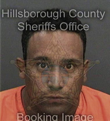 Brad Lewis, - Hillsborough County, FL 