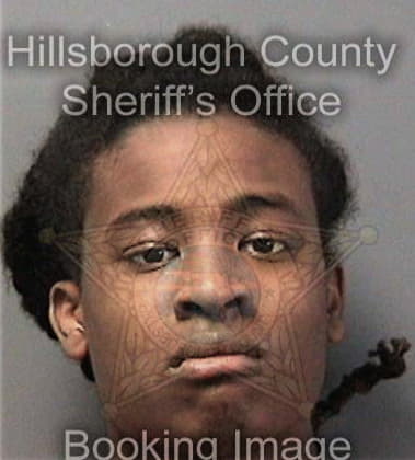 Arthur Miller - Hillsborough County, FL 